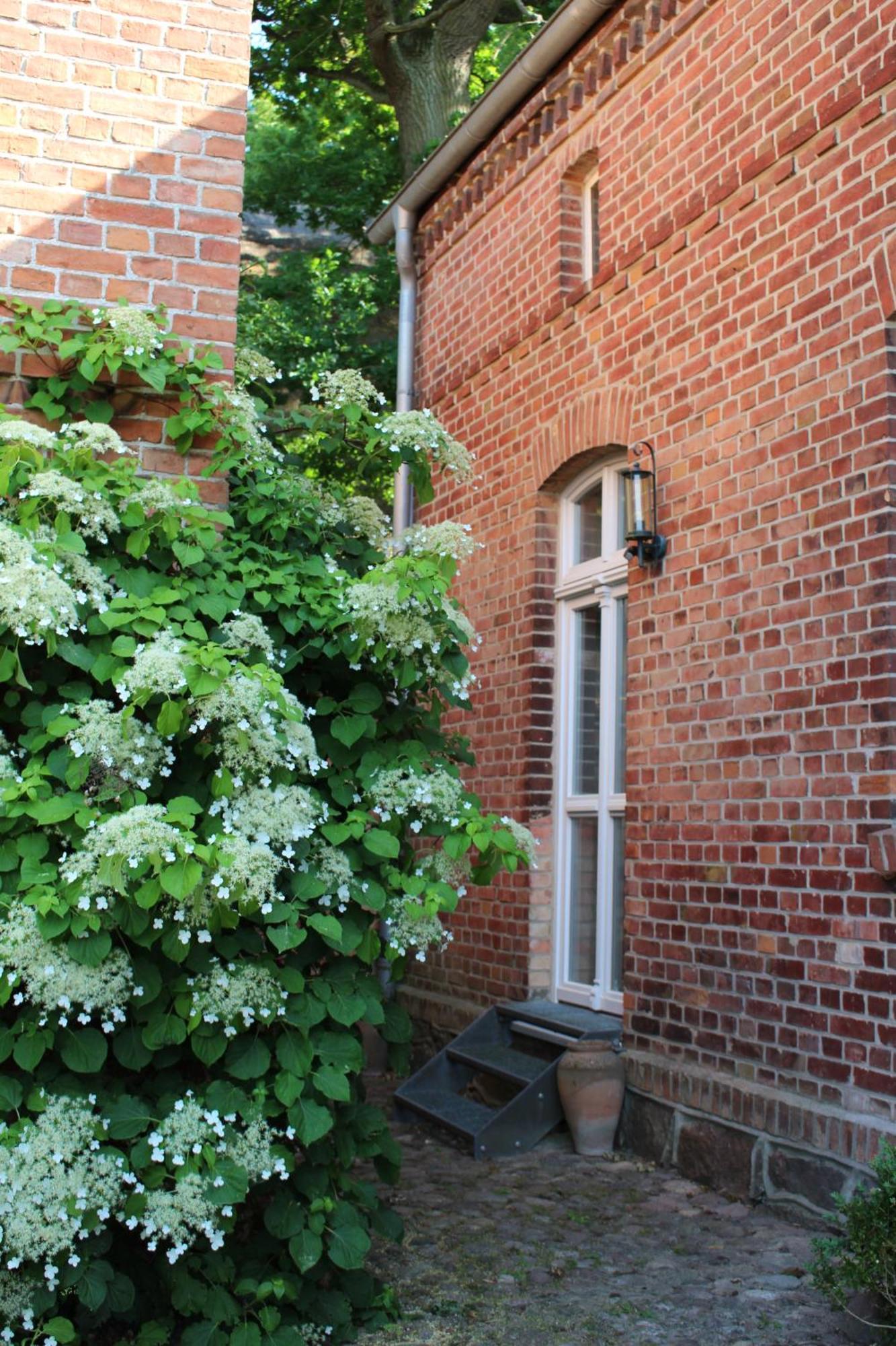 Ferienwohnung Buchholz Buchholz  Экстерьер фото